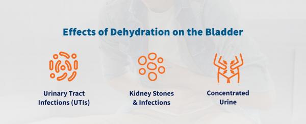 effects of dehydration on the bladder